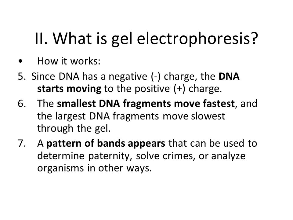 II. What is gel electrophoresis. How it works: 5.