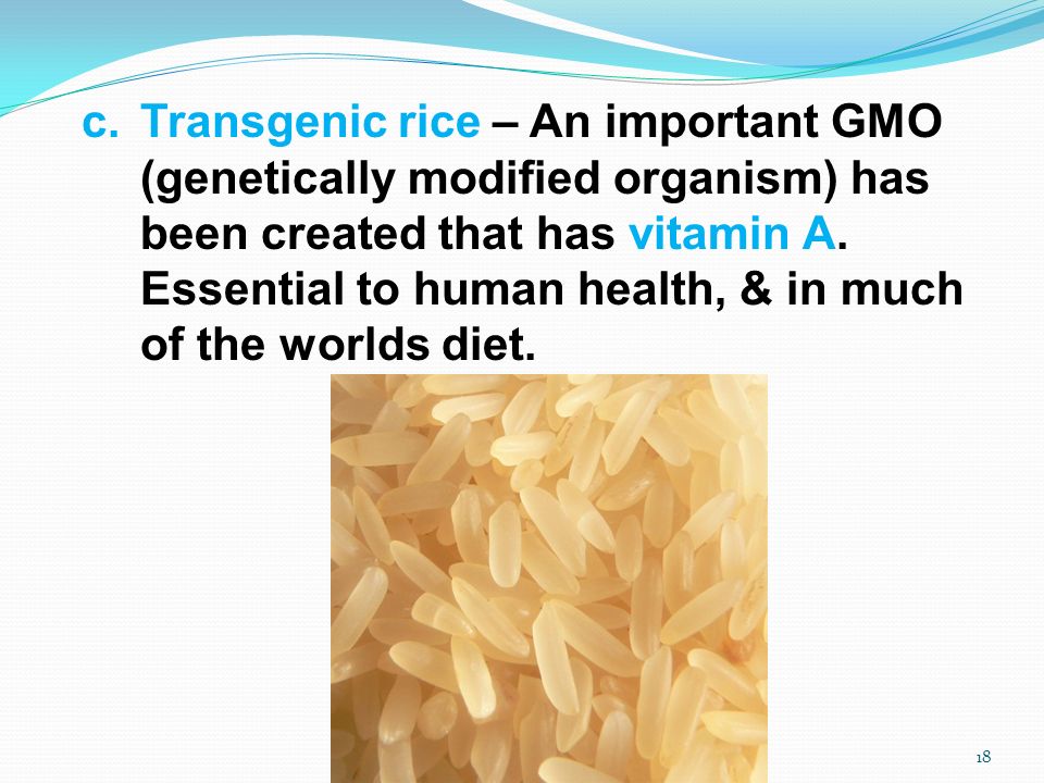 c.Transgenic rice – An important GMO (genetically modified organism) has been created that has vitamin A.