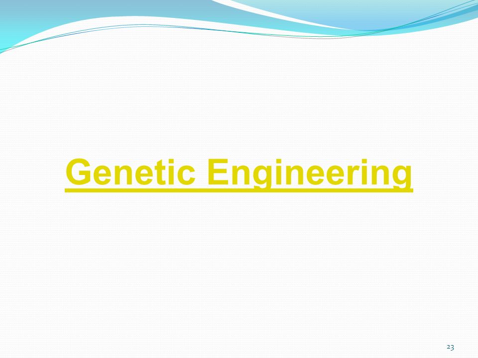 23 Genetic Engineering