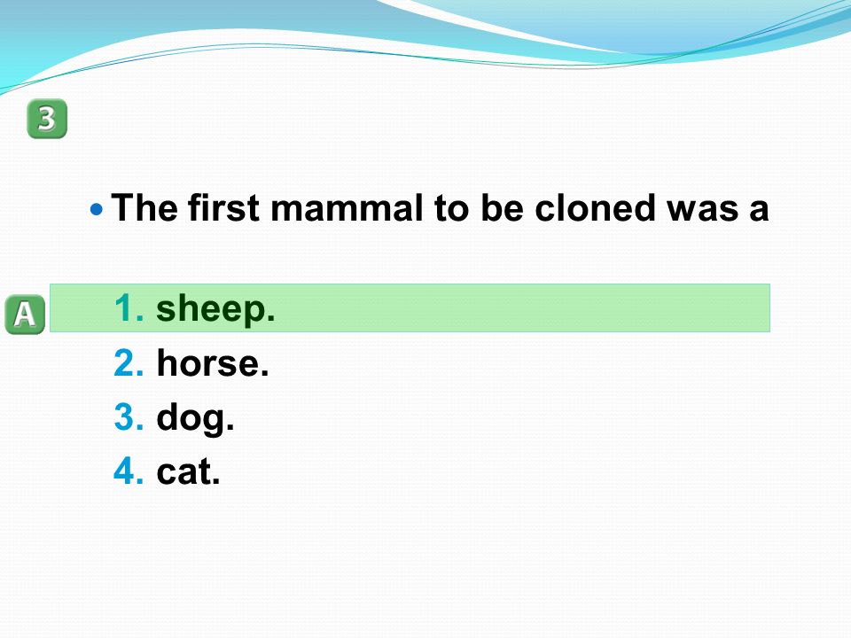 The first mammal to be cloned was a 1.sheep. 2.horse. 3.dog. 4.cat.
