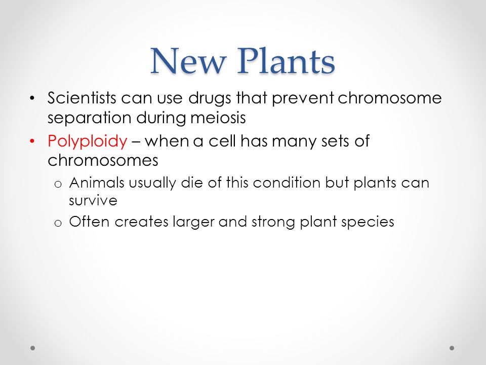selective breeding have you