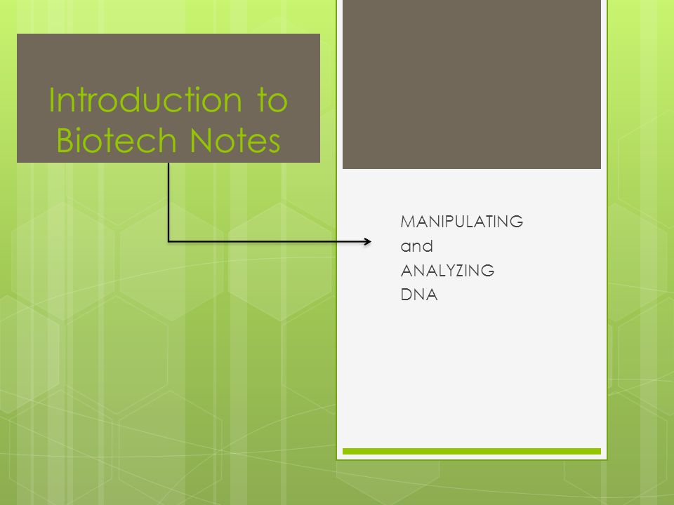 Introduction to Biotech Notes MANIPULATING and ANALYZING DNA