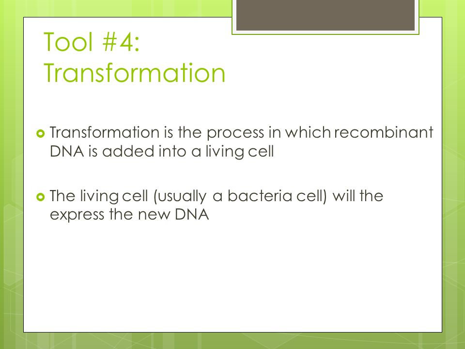 Tool #4: Transformation  Transformation is the process in which recombinant DNA is added into a living cell  The living cell (usually a bacteria cell) will the express the new DNA