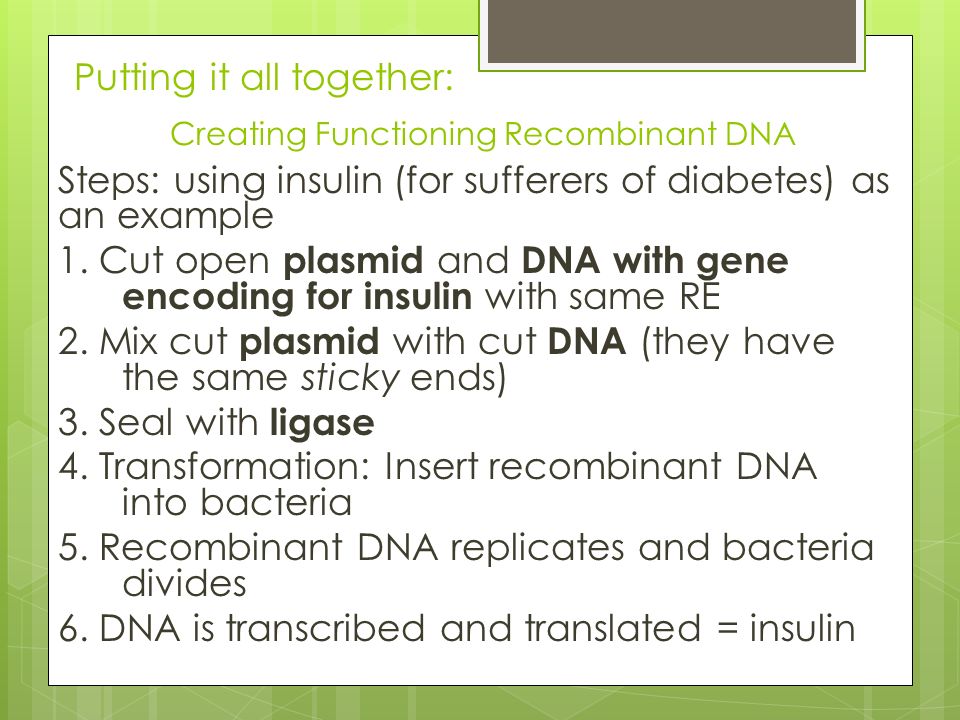 Putting it all together: Creating Functioning Recombinant DNA Steps: using insulin (for sufferers of diabetes) as an example 1.