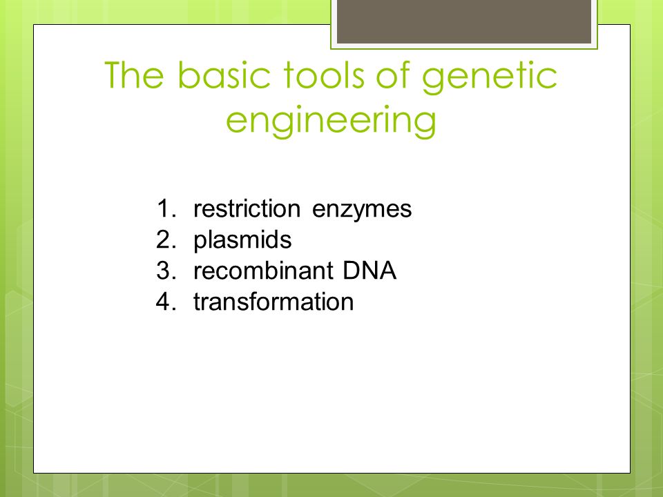 The basic tools of genetic engineering 1.restriction enzymes 2.plasmids 3.recombinant DNA 4.transformation