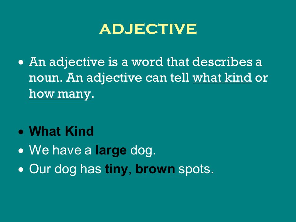 adjective  An adjective is a word that describes a noun.