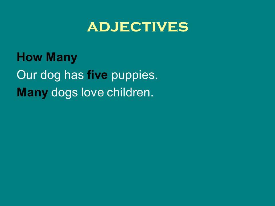 adjectives How Many Our dog has five puppies. Many dogs love children.