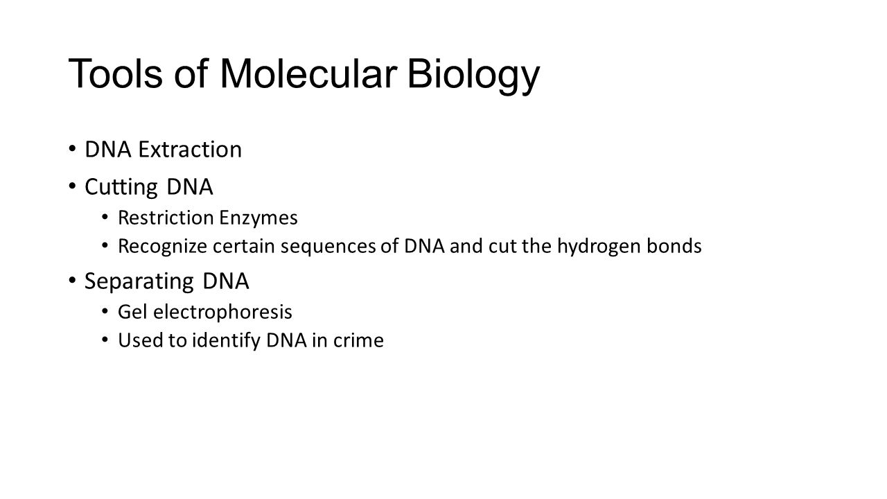 Tools of Molecular Biology DNA Extraction Cutting DNA Restriction Enzymes Recognize certain sequences of DNA and cut the hydrogen bonds Separating DNA Gel electrophoresis Used to identify DNA in crime