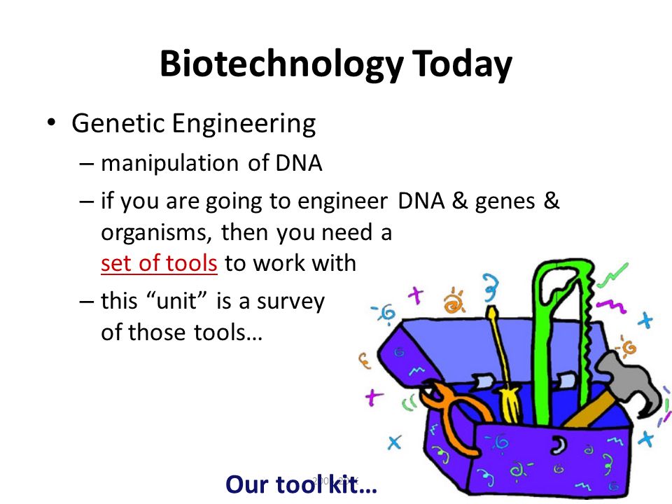Biotechnology Today Genetic Engineering – manipulation of DNA – if you are going to engineer DNA & genes & organisms, then you need a set of tools to work with – this unit is a survey of those tools… Our tool kit…