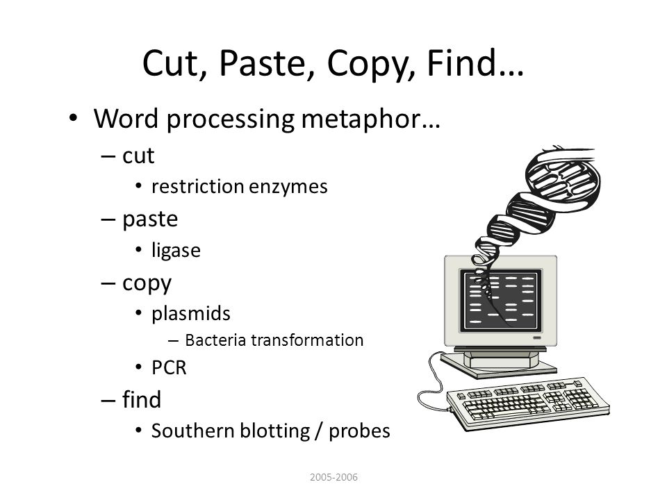 Cut, Paste, Copy, Find… Word processing metaphor… – cut restriction enzymes – paste ligase – copy plasmids – Bacteria transformation PCR – find Southern blotting / probes
