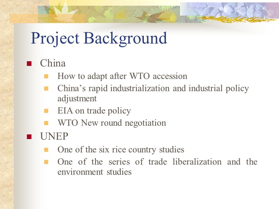 Project Background China How to adapt after WTO accession China’s rapid industrialization and industrial policy adjustment EIA on trade policy WTO New round negotiation UNEP One of the six rice country studies One of the series of trade liberalization and the environment studies