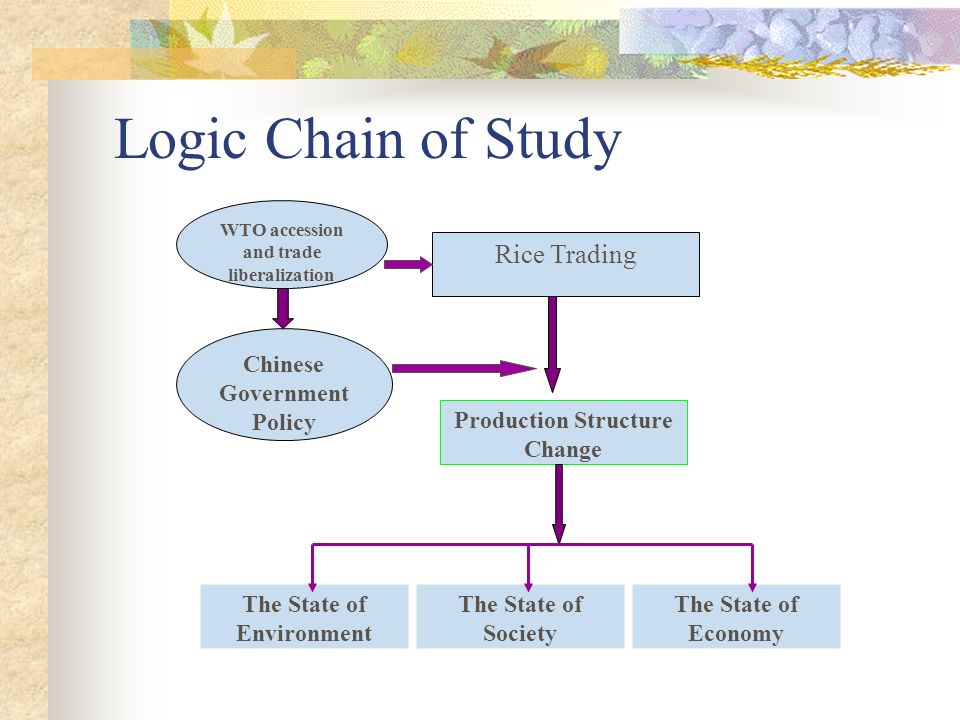 Logic Chain of Study Rice Trading Production Structure Change The State of Environment Chinese Government Policy The State of Society The State of Economy WTO accession and trade liberalization