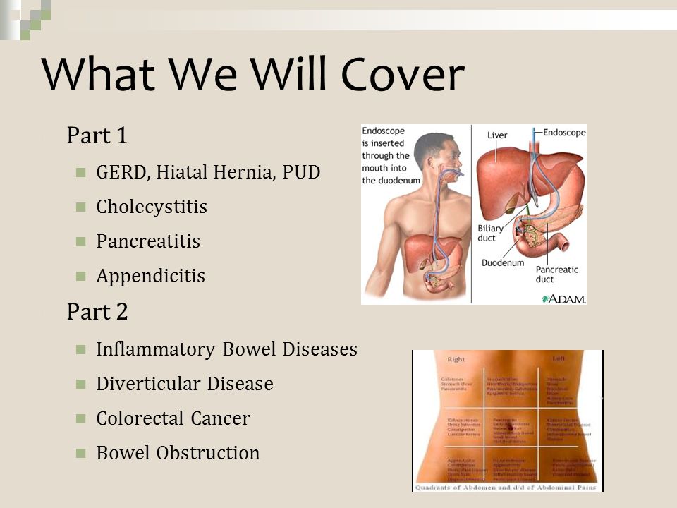 pancreatitis pancreas and gastrointestinal inflammatory agents pancreatitis pancreas and gastrointestinal inflammatory agents