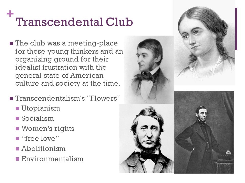an essay on the puritans enlightenment and the ideas of transcendentalist Essay on enlightenment, transcendentalism, and puritan theologyenlightenment, transcendentalism, and puritan theology: 3 philosophies that shaped 3 centuries in america since the time periods of each philosophy overlapped with the others, all 3 had similarities as well as differences. an essay on the puritans enlightenment and the ideas of transcendentalist Essay on enlightenment, transcendentalism, and puritan theologyenlightenment, transcendentalism, and puritan theology: 3 philosophies that shaped 3 centuries in america since the time periods of each philosophy overlapped with the others, all 3 had similarities as well as differences.