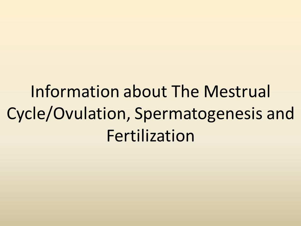 Ovulation and fertilization ppt presentation
