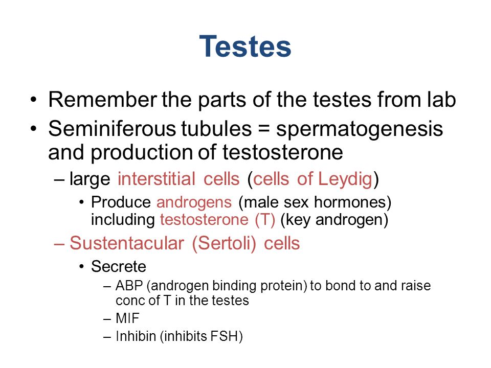 nexium indications nexium indications