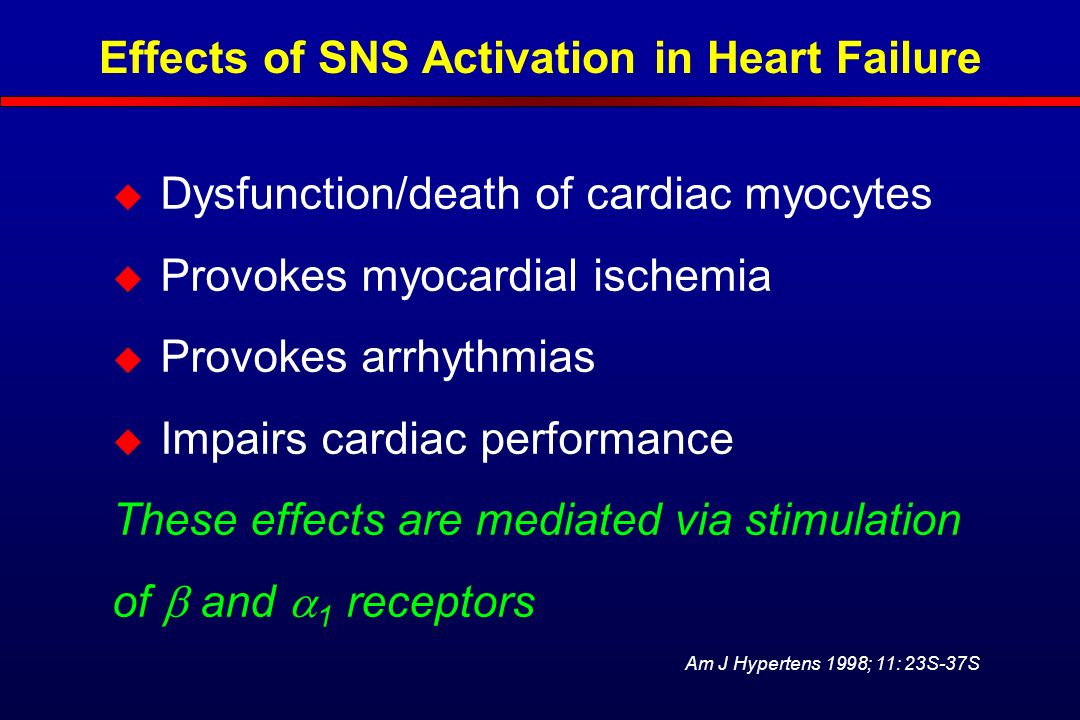 Effects of SNS Activation in Heart Failure  Dysfunction/death of cardiac myocytes  Provokes myocardial ischemia  Provokes arrhythmias  Impairs cardiac performance These effects are mediated via stimulation of  and  1 receptors Am J Hypertens 1998; 11: 23S-37S