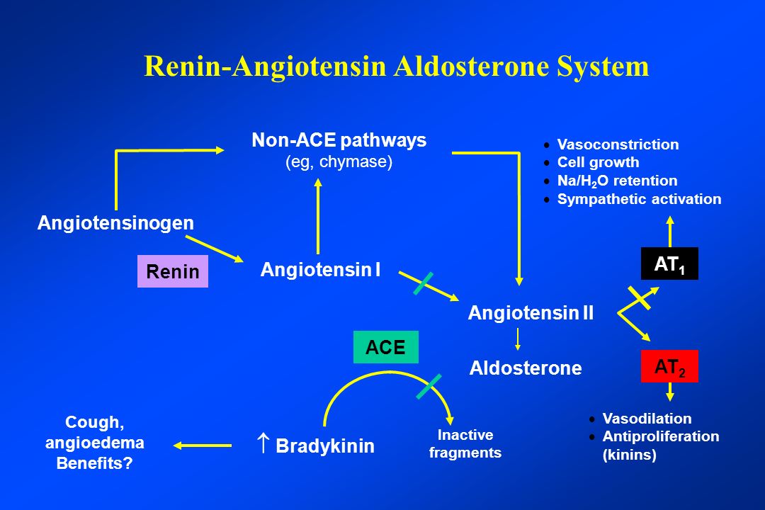 Renin-Angiotensin Aldosterone System Angiotensinogen Non-ACE pathways (eg, chymase)   Vasoconstriction   Cell growth   Na/H 2 O retention   Sympathetic activation Renin Angiotensin I Angiotensin II ACE Cough, angioedema Benefits.