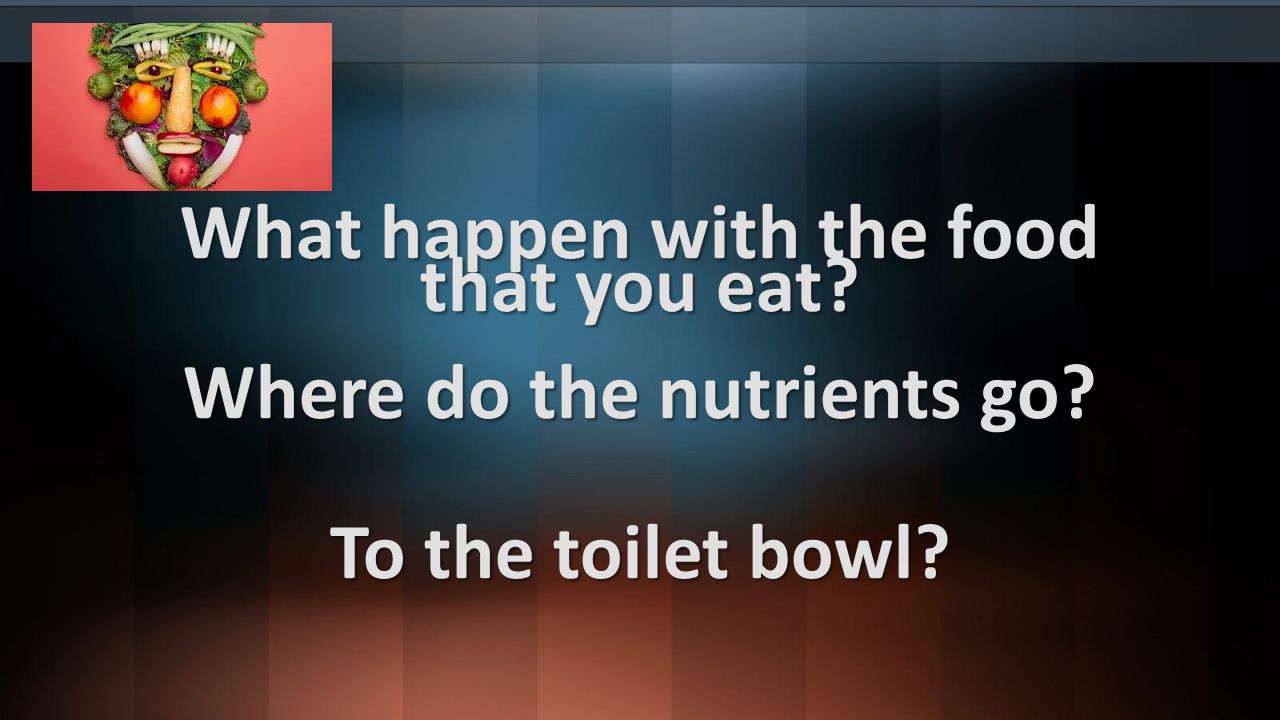 What happen with the food that you eat Where do the nutrients go To the toilet bowl