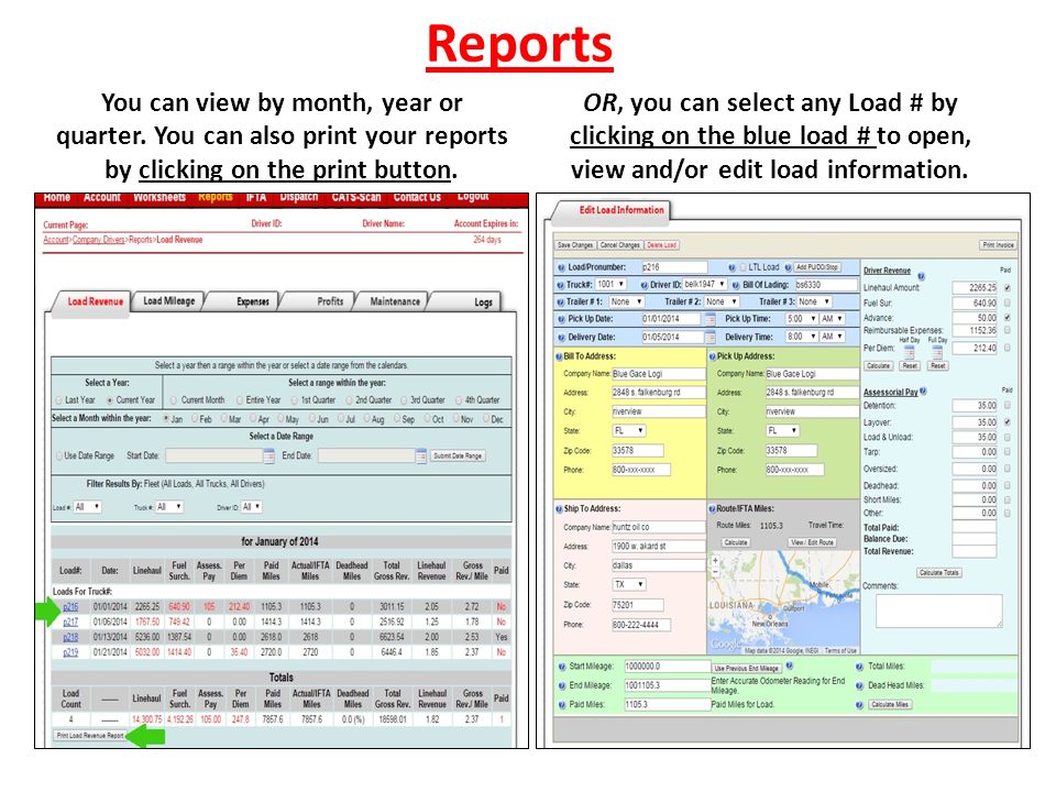Reports You can view by month, year or quarter.