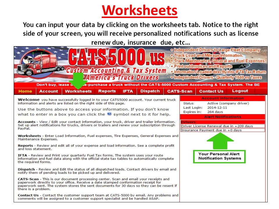 Worksheets You can input your data by clicking on the worksheets tab.