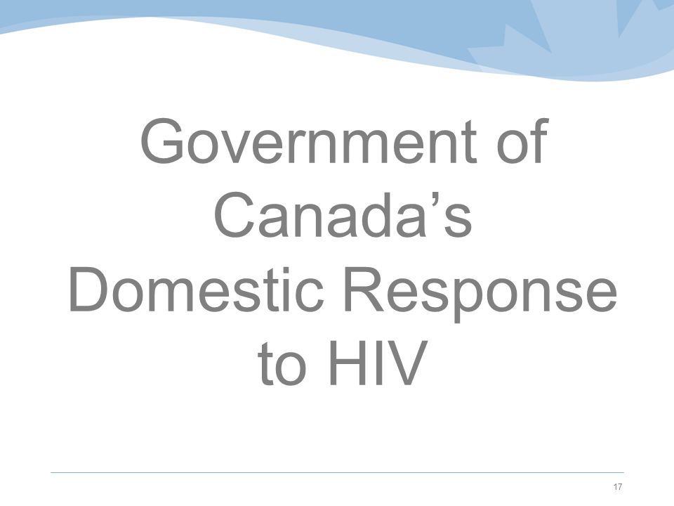 Government of Canada’s Domestic Response to HIV 17