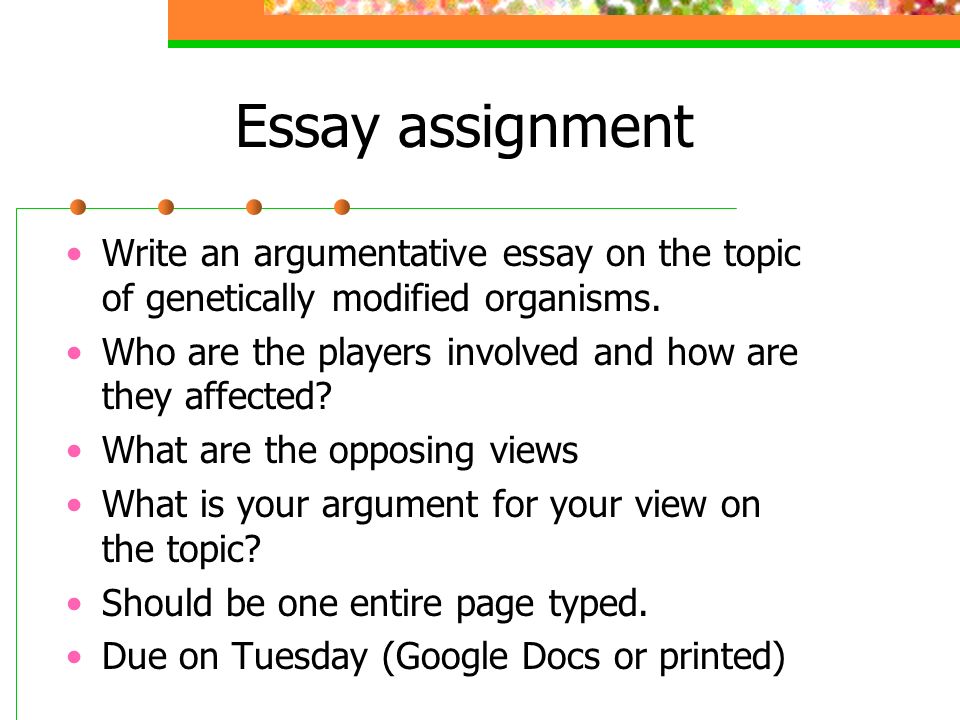 Argumentative Essay On Education