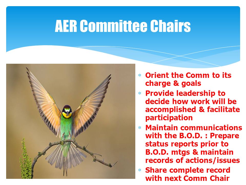 AER Committee Chairs  Orient the Comm to its charge & goals  Provide leadership to decide how work will be accomplished & facilitate participation  Maintain communications with the B.O.D.
