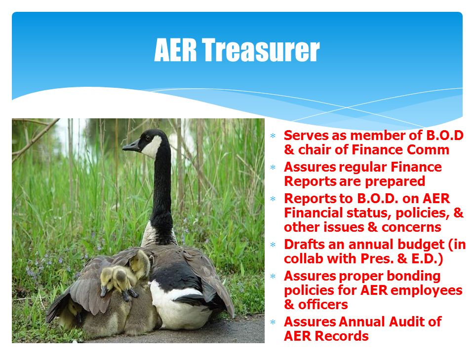 AER Treasurer  Serves as member of B.O.D & chair of Finance Comm  Assures regular Finance Reports are prepared  Reports to B.O.D.