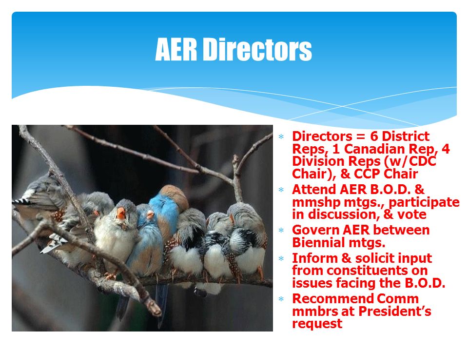 AER Directors  Directors = 6 District Reps, 1 Canadian Rep, 4 Division Reps (w/CDC Chair), & CCP Chair  Attend AER B.O.D.