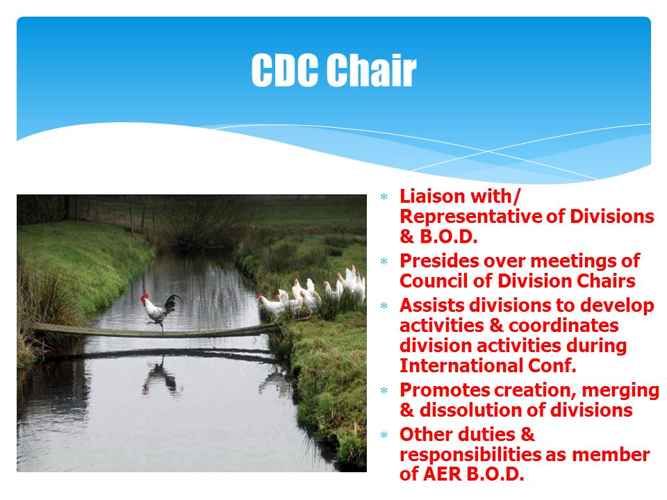 CDC Chair  Liaison with/ Representative of Divisions & B.O.D.