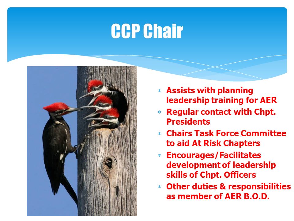 CCP Chair  Assists with planning leadership training for AER  Regular contact with Chpt.