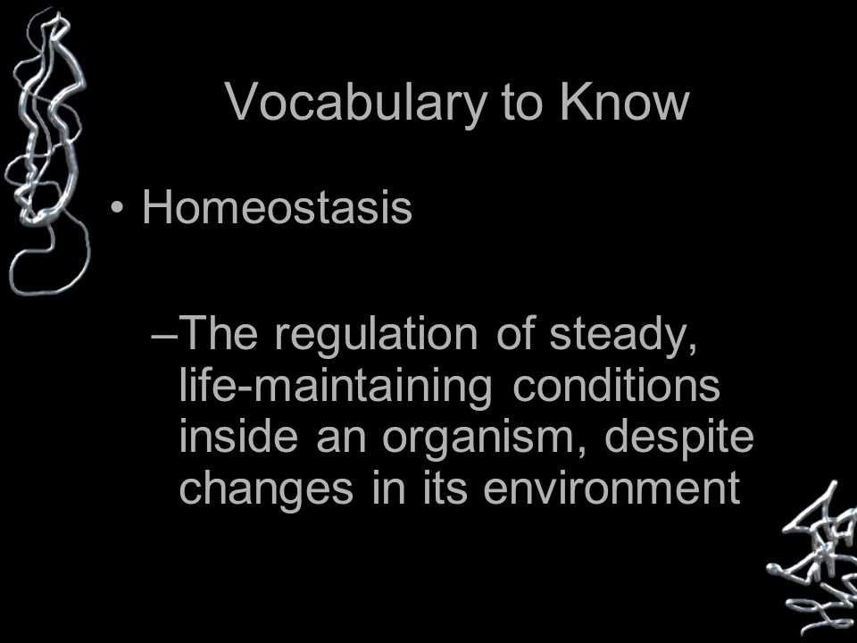 Vocabulary to Know Homeostasis –The regulation of steady, life-maintaining conditions inside an organism, despite changes in its environment