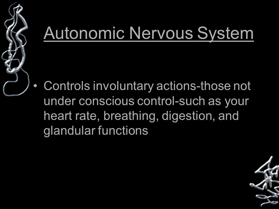 Autonomic Nervous System Controls involuntary actions-those not under conscious control-such as your heart rate, breathing, digestion, and glandular functions