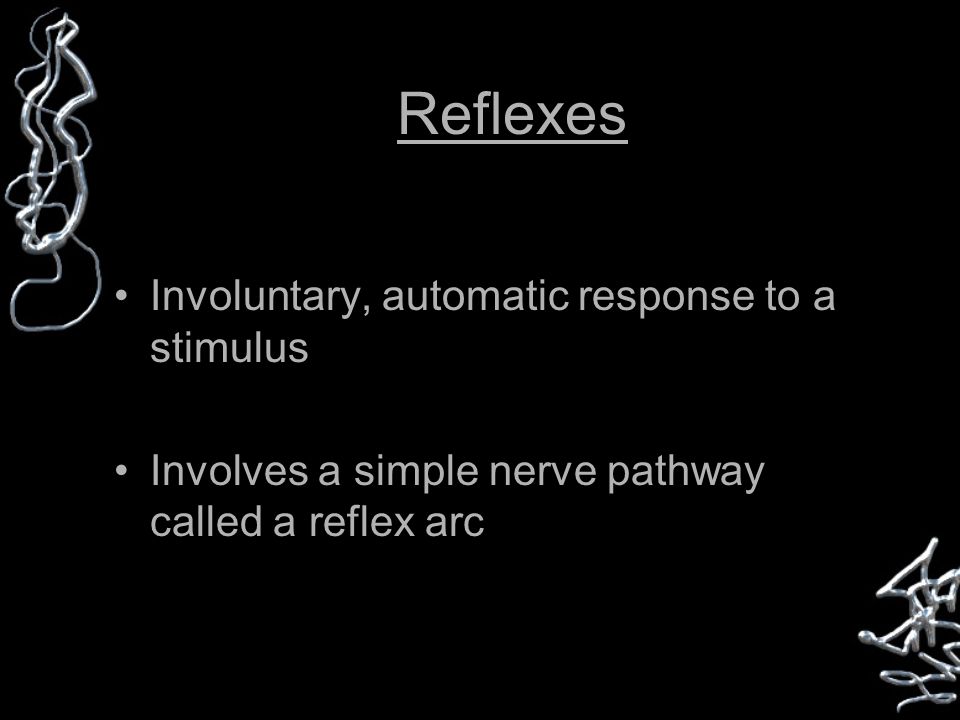 Reflexes Involuntary, automatic response to a stimulus Involves a simple nerve pathway called a reflex arc