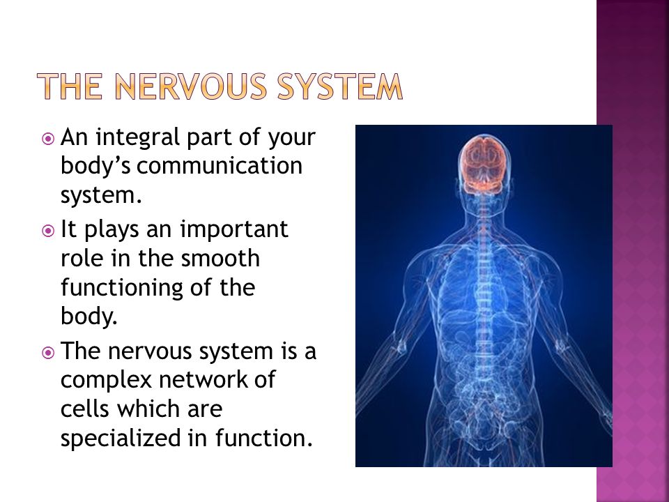  An integral part of your body’s communication system.