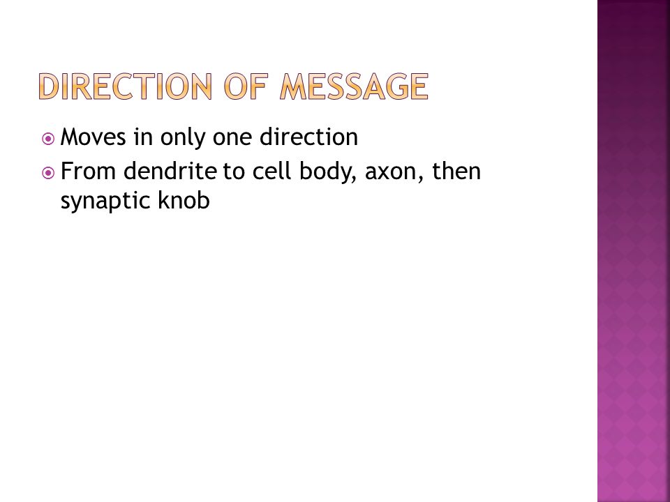  Moves in only one direction  From dendrite to cell body, axon, then synaptic knob