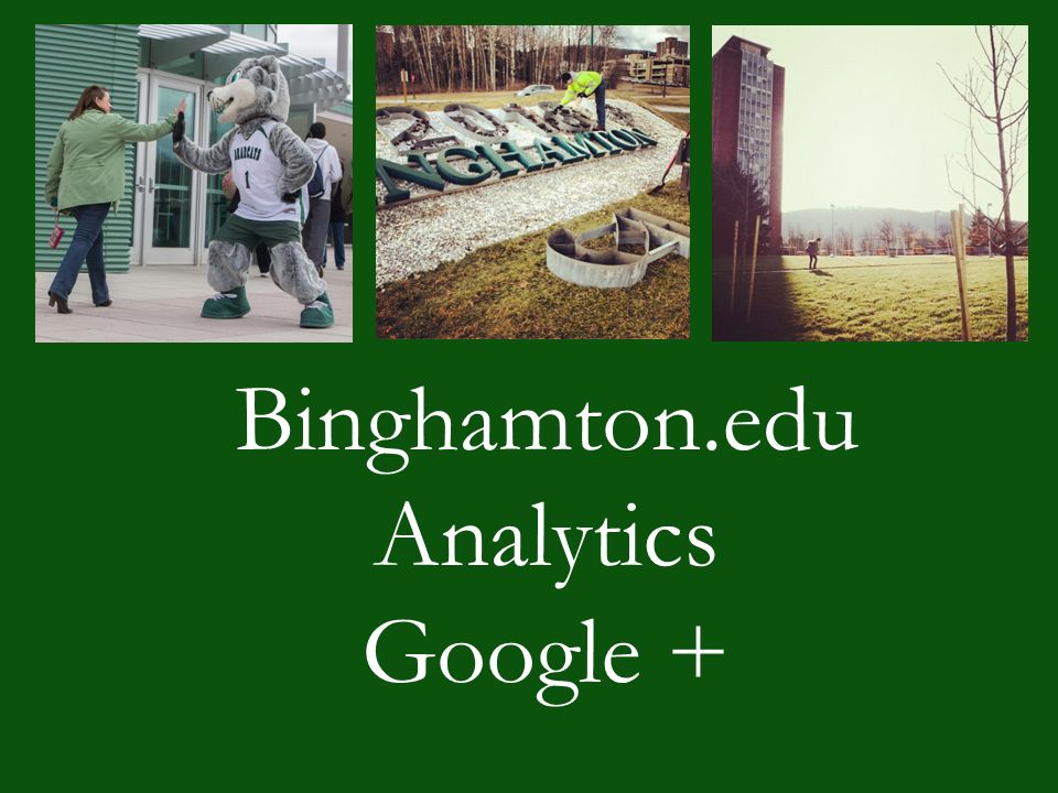 Binghamton.edu Analytics Google +
