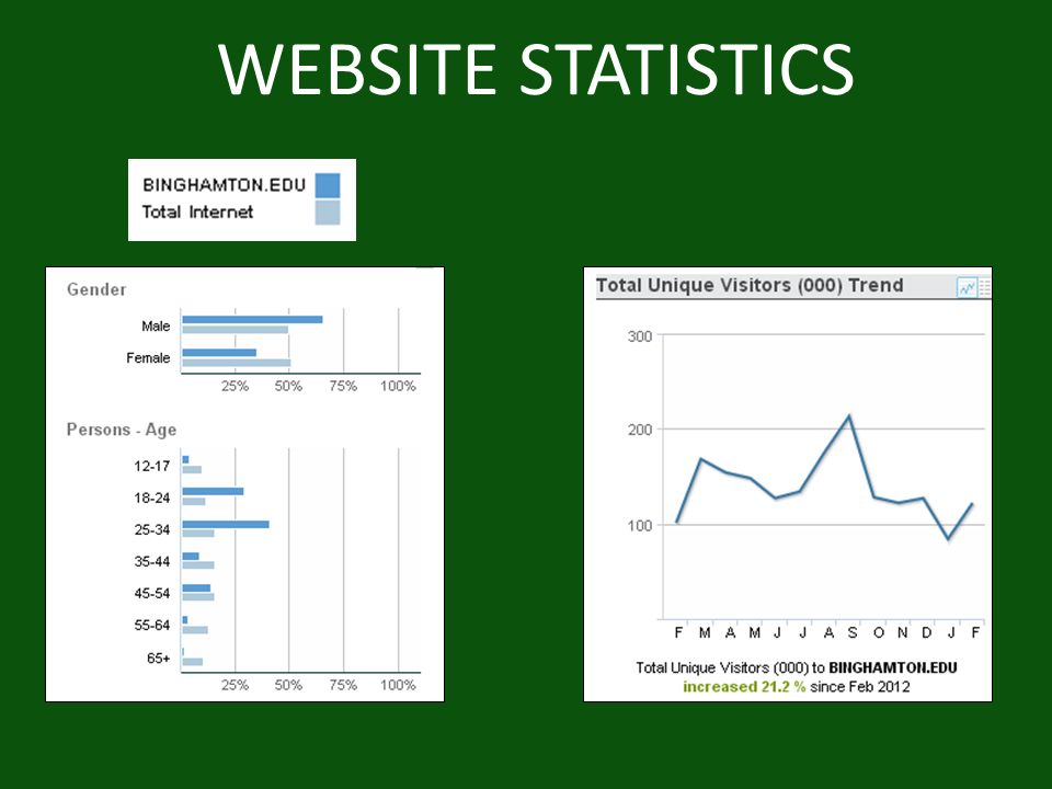 WEBSITE STATISTICS