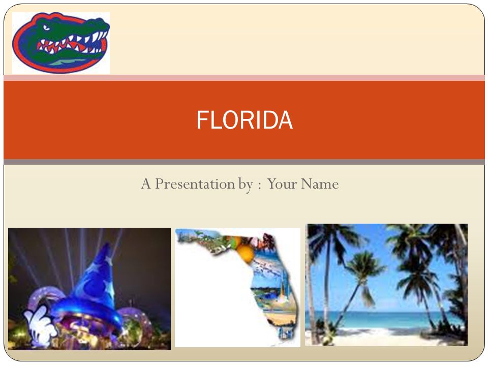 A Presentation by : Your Name FLORIDA