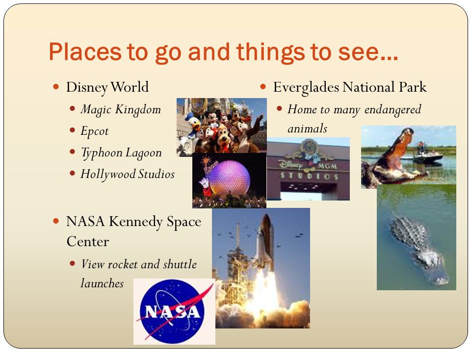 Places to go and things to see… Disney World Magic Kingdom Epcot Typhoon Lagoon Hollywood Studios NASA Kennedy Space Center View rocket and shuttle launches Everglades National Park Home to many endangered animals