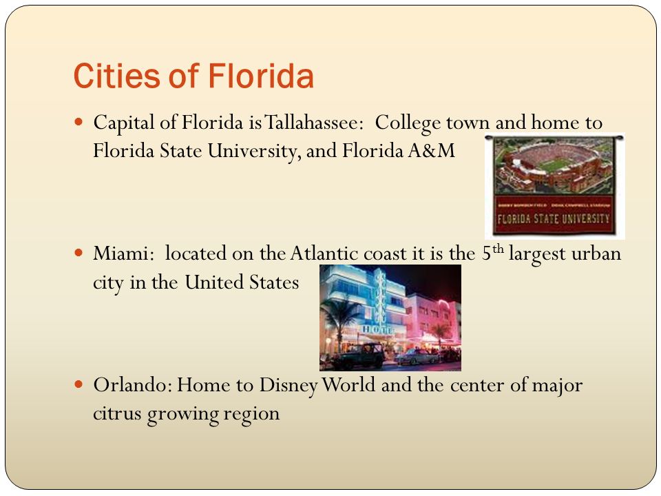 Cities of Florida Capital of Florida is Tallahassee: College town and home to Florida State University, and Florida A&M Miami: located on the Atlantic coast it is the 5 th largest urban city in the United States Orlando: Home to Disney World and the center of major citrus growing region