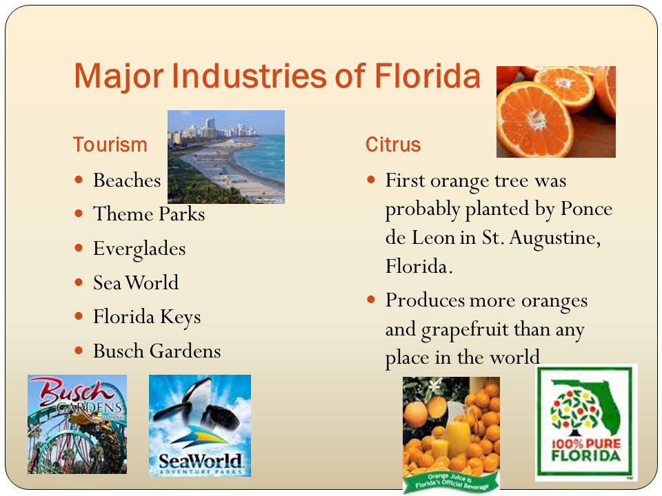 Major Industries of Florida TourismCitrus Beaches Theme Parks Everglades Sea World Florida Keys Busch Gardens First orange tree was probably planted by Ponce de Leon in St.