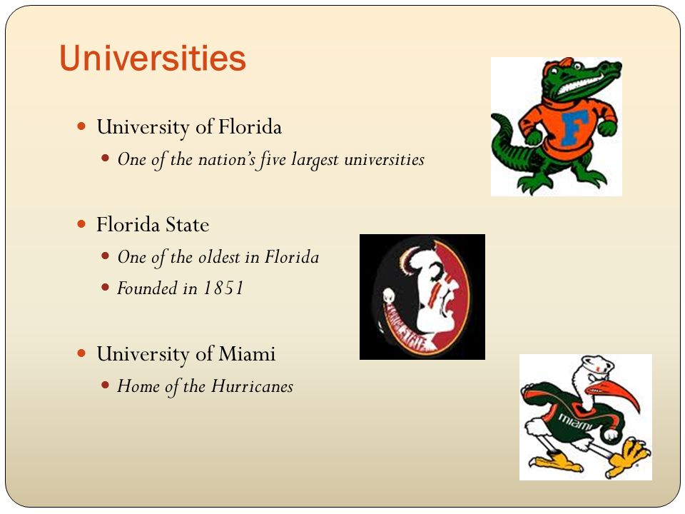 Universities University of Florida One of the nation’s five largest universities Florida State One of the oldest in Florida Founded in 1851 University of Miami Home of the Hurricanes