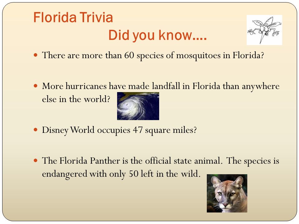 Florida Trivia Did you know…. There are more than 60 species of mosquitoes in Florida.