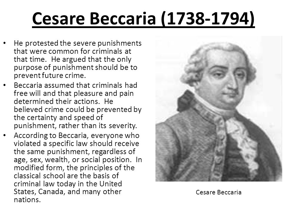 Essay On Crimes