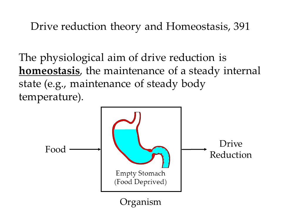 Good Health Essay Essay About High School also Essay Examples High School Write My Essay On Motivation Theories Business Essays