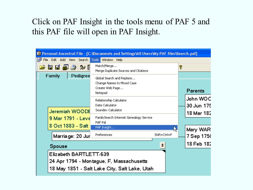 Click on PAF Insight in the tools menu of PAF 5 and this PAF file will open in PAF Insight.