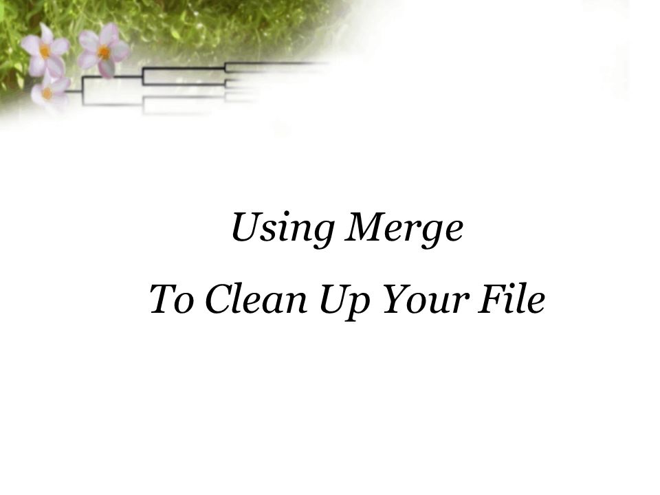 Using Merge To Clean Up Your File