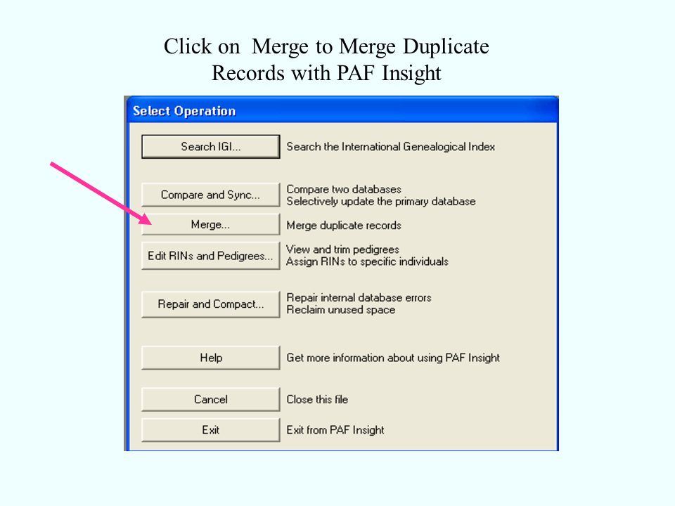 Click on Merge to Merge Duplicate Records with PAF Insight